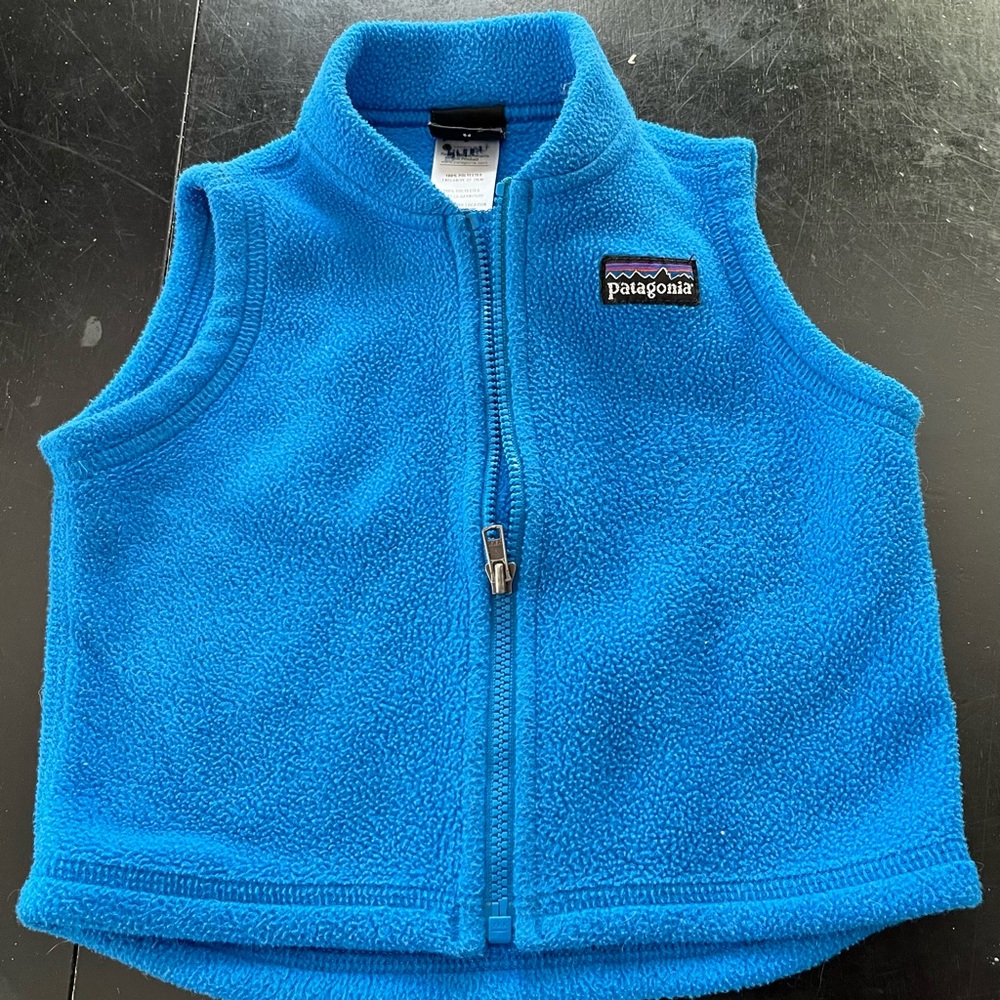 Patagonia Synchilla vest in EUC